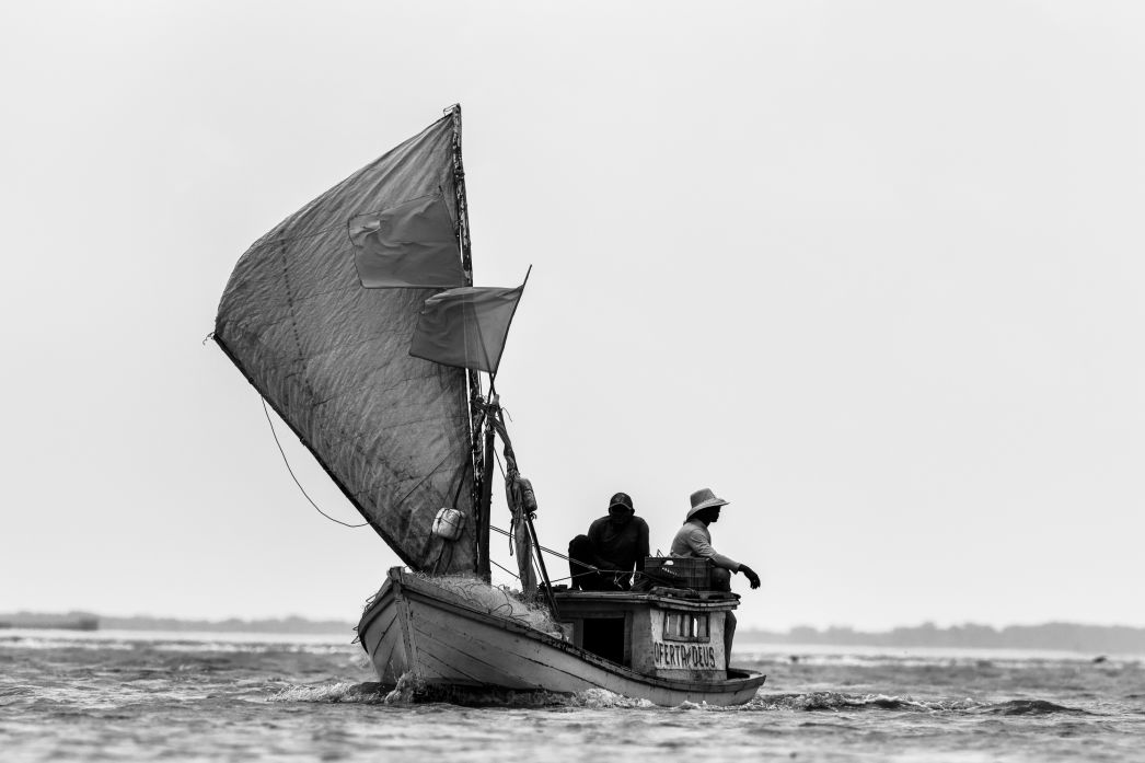 Lygia Barbosa. Documentary Filmmaker