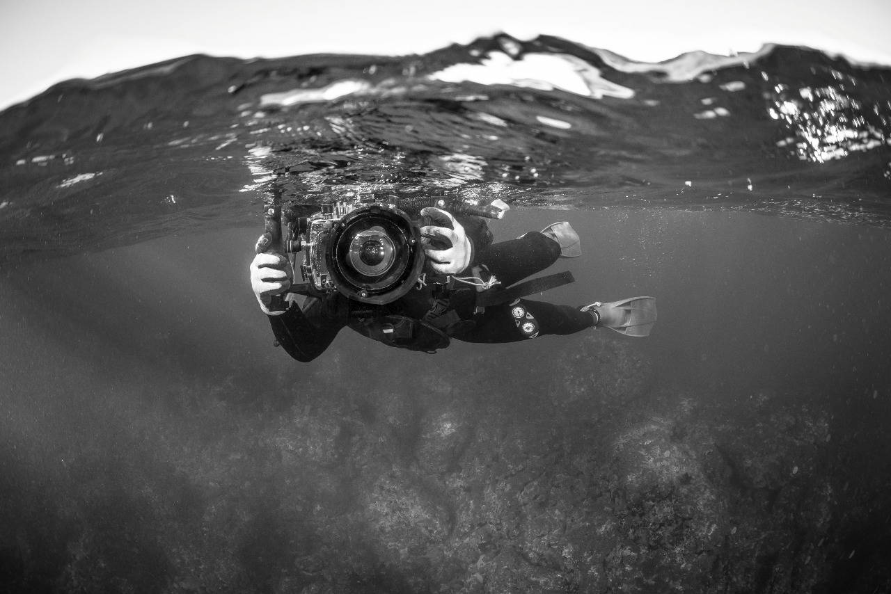 Haenyeo Wisdom of the Sea