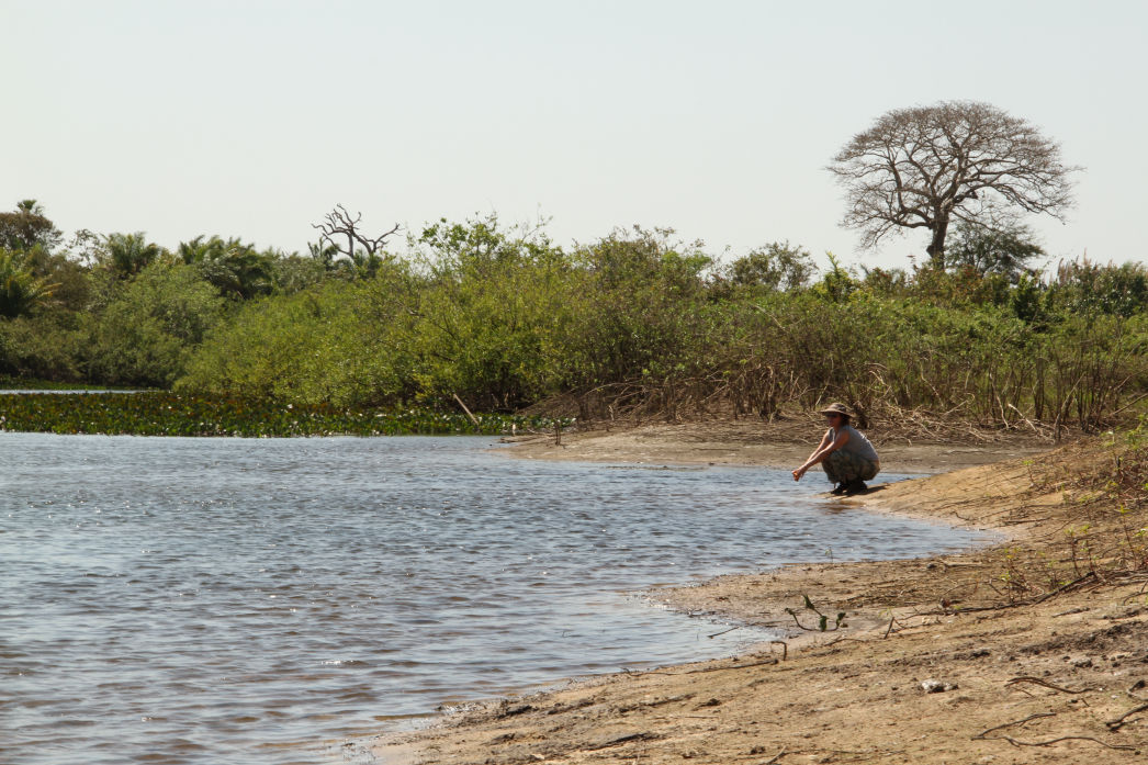 Secret Pantanal. Lygia Barbosa. Documentary Filmmaker