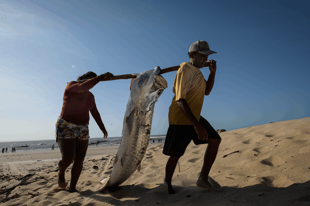 Mar Brasil. Lygia Barbosa. Documentary Filmmaker