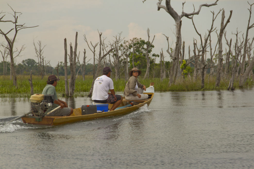 Secret Pantanal. Lygia Barbosa. Documentary Filmmaker